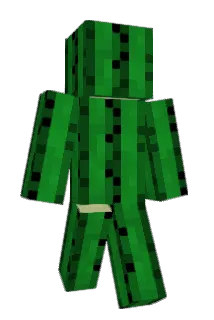 ljib547 Minecraft avatar full body