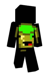 llama6969 Minecraft avatar full body