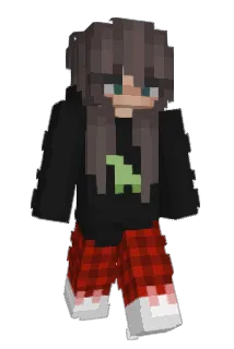 llamaameat Minecraft avatar full body