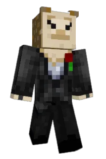 llamalicker Minecraft avatar full body