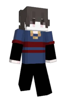 lle001 Minecraft avatar full body