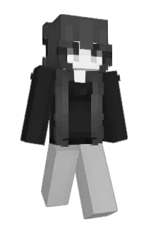 llvt Minecraft avatar full body