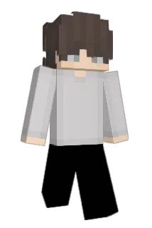 lmported Minecraft avatar full body