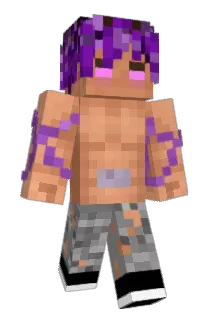 lmsss Minecraft avatar full body