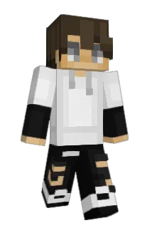 lntenZz Minecraft avatar full body