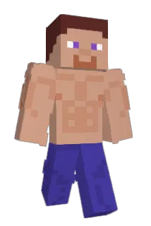 logicL1 Minecraft avatar full body