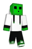 logr79 Minecraft avatar full body