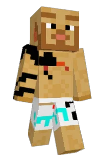logthebog01 Minecraft avatar full body