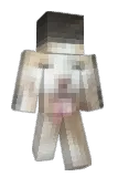 lolcat12 Minecraft avatar full body