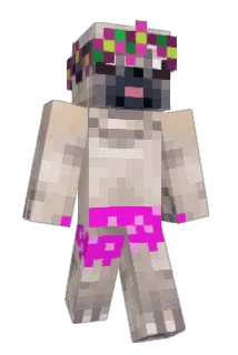 lollipop549 Minecraft avatar full body