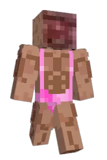 lolwdf Minecraft avatar full body