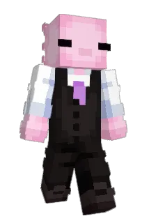 loop_13 Minecraft avatar full body