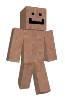 looting1 Minecraft avatar full body