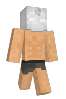 louhhh Minecraft avatar full body