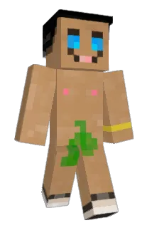 louloucch24 Minecraft avatar full body