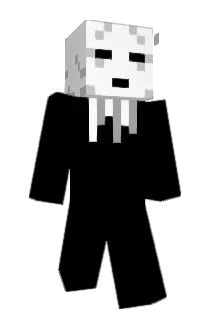louulou Minecraft avatar full body