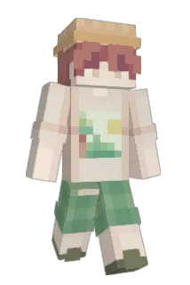 loveluis Minecraft avatar full body