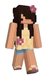 Custom render preview