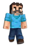 low2500 Minecraft avatar full body