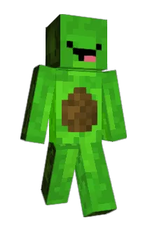lowydes Minecraft avatar full body