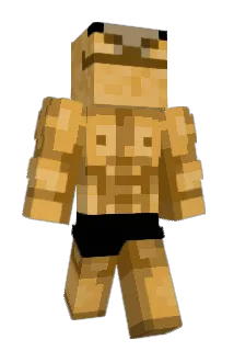 lpti Minecraft avatar full body