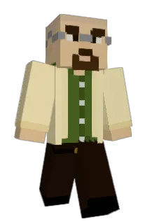 lsd__swag Minecraft avatar full body