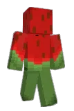 lsdmt Minecraft avatar full body