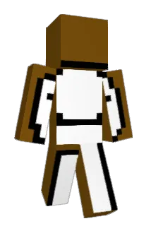 lsfen Minecraft avatar full body