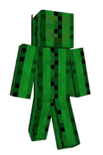 lshoravi Minecraft avatar full body
