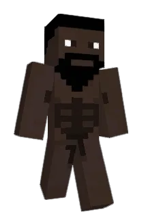 lucariusus Minecraft avatar full body