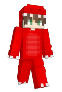 luffi0080 Minecraft avatar full body