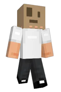 lui993 Minecraft avatar full body