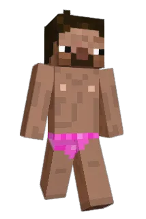 luisaa444 Minecraft avatar full body