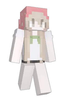 luvsungs Minecraft avatar full body