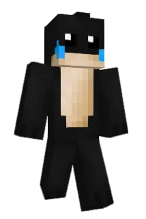 lx71 Minecraft avatar full body