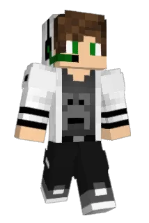 lyff44 Minecraft avatar full body