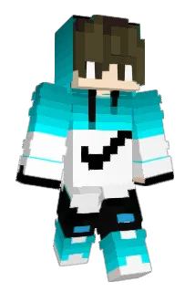 lynchRakun Minecraft avatar full body