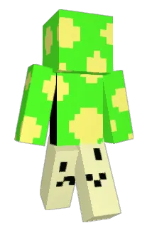 m0gu Minecraft avatar full body