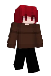 m10x11 Minecraft avatar full body