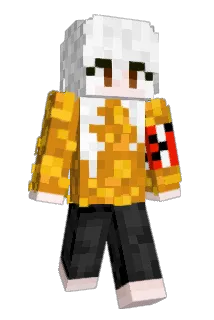 mabin29 Minecraft avatar full body