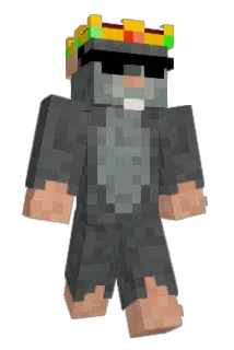 macenroni Minecraft avatar full body