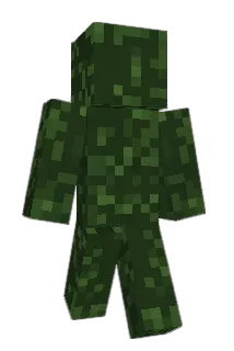 machanicdude Minecraft avatar full body