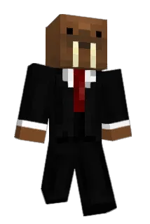 mackapoot Minecraft avatar full body