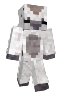 mackenzieminer Minecraft avatar full body