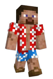 madapacka333 Minecraft avatar full body