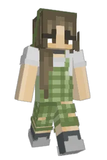 madtheminerr8 Minecraft avatar full body
