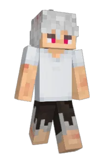 mafeww Minecraft avatar full body