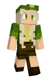 mafronni1 Minecraft avatar full body