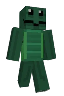 magicturtle Minecraft avatar full body