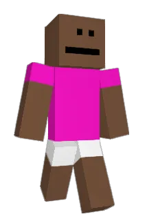 mahasiswa Minecraft avatar full body